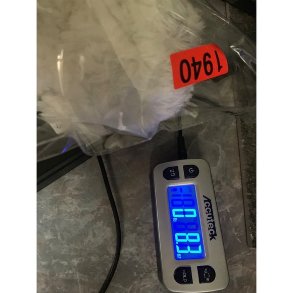 Aurora Flopsie - 12" Bonita White Laying Maltese Plastic Eyes and Nose - Picture 13 of 13